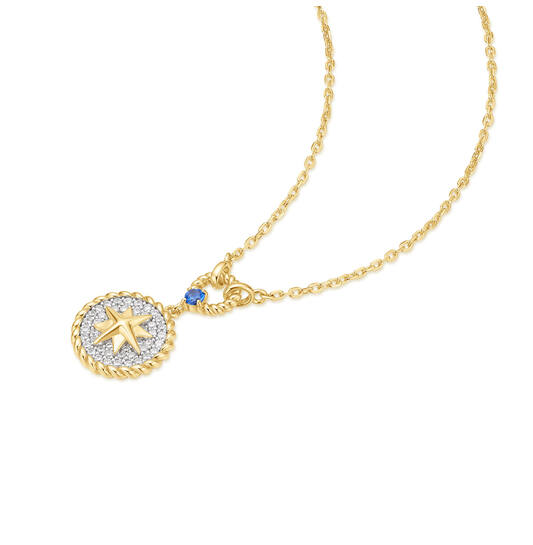  Chill Voyager - Necklaces with pendant - Silver / 14kt GP - Crystal - 46-50 cm